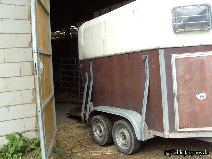 Jungpferde transportieren