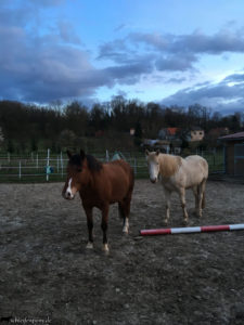 Rückblick