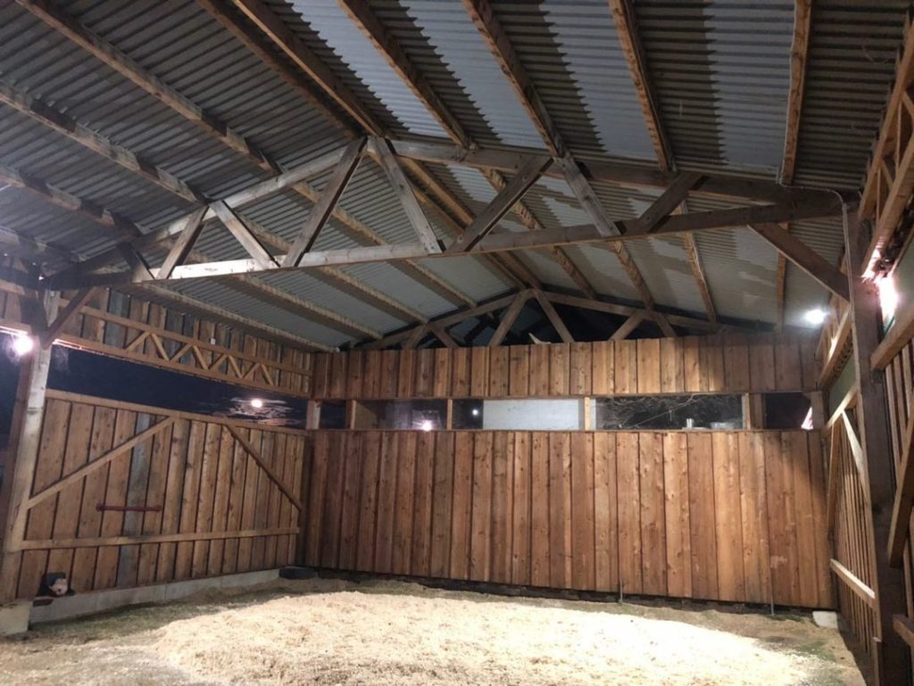Liegehalle